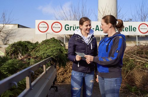Balzersen – Leistung Annahme – Darstellung Grüngut Annahme